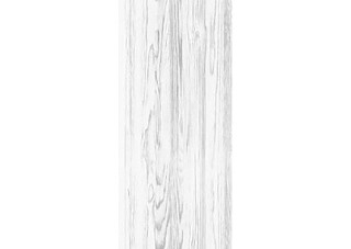 Панель ПВХ ЛАЙТ-ПЕЧАТЬ с лаком 0,25х2,7м  583 