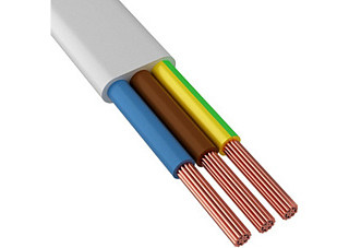 Провод ПУГВВ(ПУГНП) 3х2,5мм ГОСТ (кратно 100)