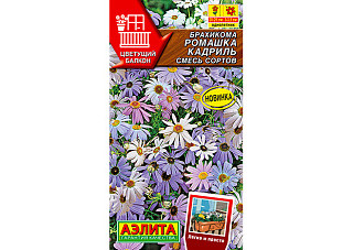Брахикома Ромашка Кадриль 0,1гр смесь сортов сер.Цветущий балкон /однолетник