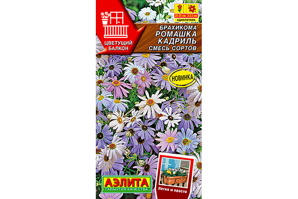 Брахикома Ромашка Кадриль 0,1гр смесь сортов сер.Цветущий балкон /однолетник