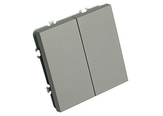 Переключатель Feron 2-клавишный (механизм) 250В 10А  Эмили RSW10-5107-10 платиново-серый 49947