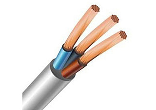 Провод ПВС 3х2,5мм Б ГОСТ (кратно 100)