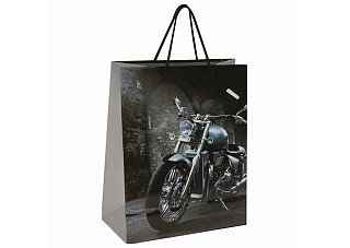 Пакет подарочный 26x13x32см ЗОЛОТАЯ СКАЗКА Мотоцикл ламинированный 606589