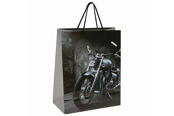 Пакет подарочный 26x13x32см ЗОЛОТАЯ СКАЗКА Мотоцикл ламинированный 606589