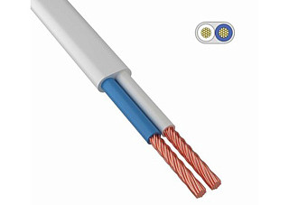 Провод ПУГВВ(ПУГНП) 2х2,5мм ГОСТ (кратно 100)