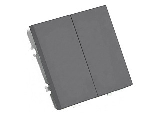 Выключатель Feron 2-клавишный (механизм) 250В 10А  Эмили RSW10-5104-10 платиново-серый  49944