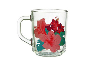 Кружка Green Tea ГИБИСКУСЫ 0,2л (07с1335 ДЗ)